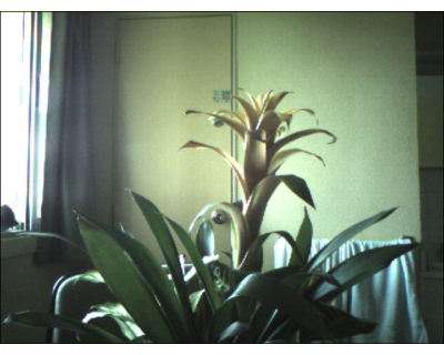 20070510153300-webcam-1178803723.png